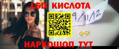 прущие грибы Гусев