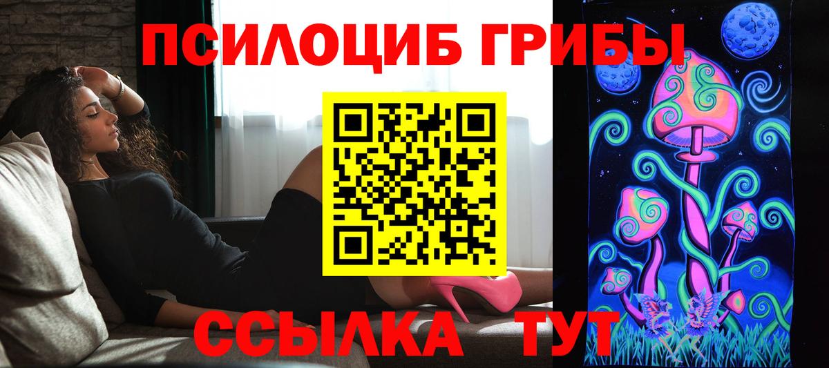Кунгур  Псилоцибиновые грибы Psilocybine cubensis  Вход с VPN 