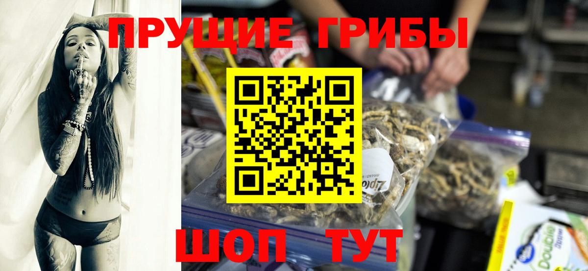 Бошки Шишки Кунгур