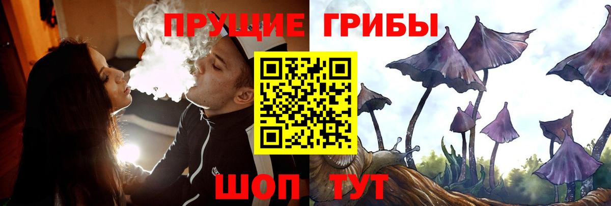 Галлюциногенные грибы прущие грибы Кунгур